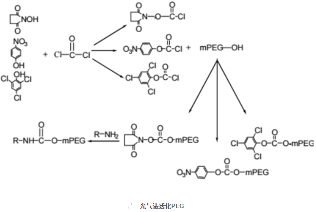 PEG聚乙二醇的分子特性及六种活化方法介绍
