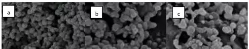 细乳液聚合含稀土配合物粒径小/发色性能好的聚苯乙烯荧光微球