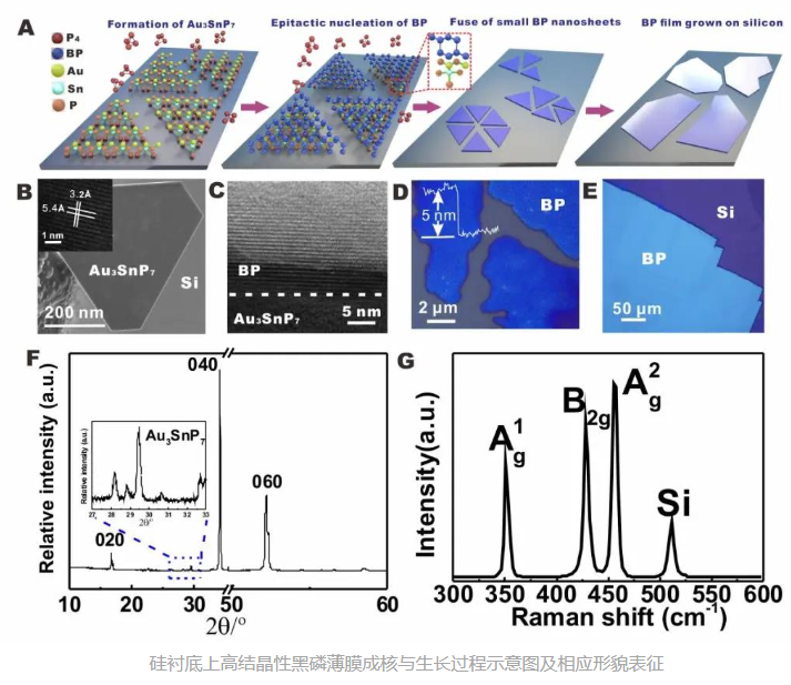 硅衬底上生长高结晶性黑磷薄膜的介绍(厚度尺寸可定制)