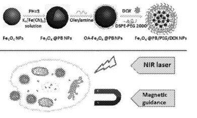 聚乙二醇化包裹普鲁士蓝的磁性载药纳米颗粒制备方法(OA-Fe3O4@PB)