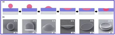 钹形|UFO形|花生形|碗形Jhaius PS聚合物微球的花样变形