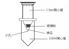 供应硅羟基磁性微球|单分散二氧化硅磁性微球