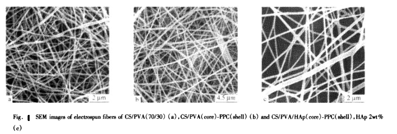 同轴电纺丝纤维的形貌及微观结构