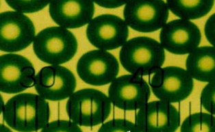 单分散聚苯乙烯彩色荧光微球（红色荧光微球|绿色荧光微球|蓝色荧光微球|橙色荧光微球)