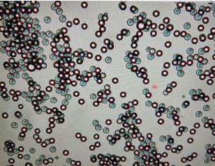 单分散聚苯乙烯彩色荧光微球（红色荧光微球|绿色荧光微球|蓝色荧光微球|橙色荧光微球)