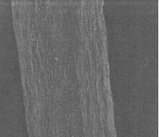 1627010762287137.png PCL|PLA|PLGA|PS纳米纤维网格滤片150nm 厚度600um 直径3/8cm 网格空隙200um