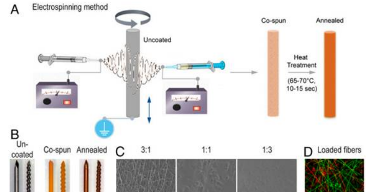 超薄、生物可降解的载药聚合物镀膜-静电纺丝PLGA/PCL复合纳米纤维