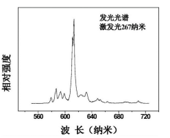 ​稀土掺杂纳米荧光粉-(钒磷酸钇掺镝Y(P，V)O4:Dy3+|磷酸钇掺镝YPO4:Dy3+|钼酸锌掺镝ZnMoO4 : Dy3+)