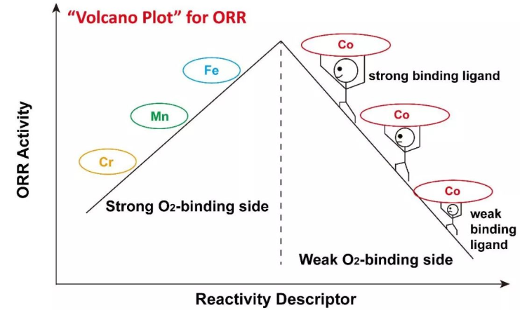 不同轴向配体配位的四甲氧基苯基卟啉钴(TMPPCo)催化ORR活性作用机制