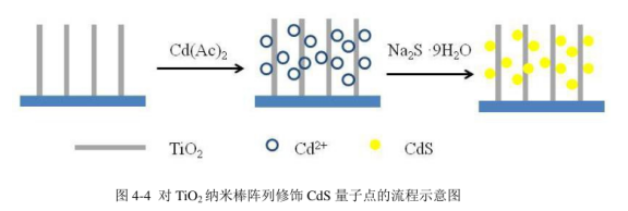 PbS硫化铅量子点和CdS硫化镉量子点修饰TiO2纳米棒阵列(量子点的尺寸在5-10nm)供应