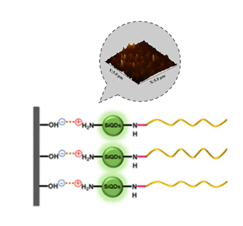 氨基修饰的黑磷量子.png 氨基修饰的黑磷量子|BPQDs-NH2|层数,厚度可定制