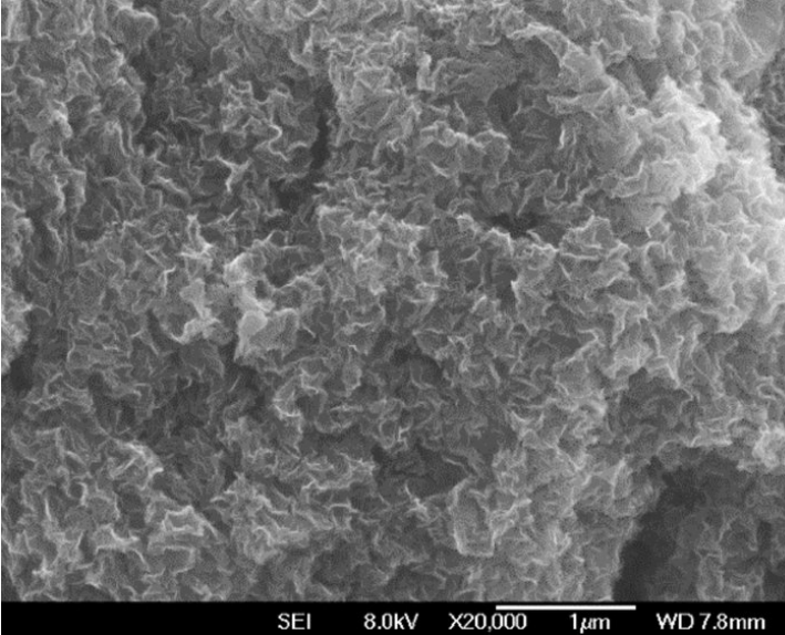 冻干的氧化石墨烯  Lyophilized graphene oxide