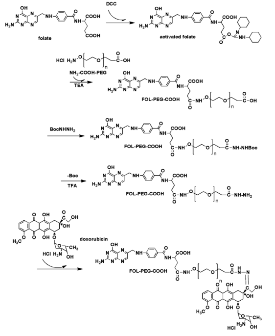 FA-PEG-腙键-DOX;Folicacid-PEG-hyd-DOX;阿霉素-聚乙二醇-叶酸腙键连接物的制备方法