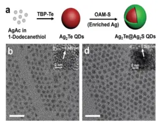 NIR-II QD,Ag2S和Ag2Se量子点,近红外二区发光量子点,油溶近红外硒化银ag2se量子点