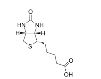 生物素偶练环糊精，BIOTIN-Cyclodextrin，bio-CD