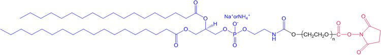 ​DSPE-PEG1000-NHS/磷脂-聚乙二醇1000-活性酯/【分子量】400 600 1000 2000 3400 5000 10000