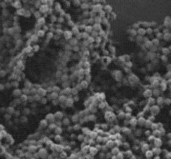 PLGA纳米粒（150nm）/聚乳酸–羟基乙酸共聚物(PLGA)是合成的可生物降解的高分子材料