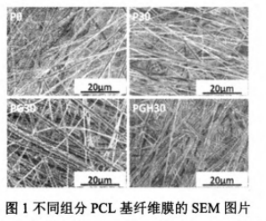 静电纺载药PCL纳米纤维膜-载药定制