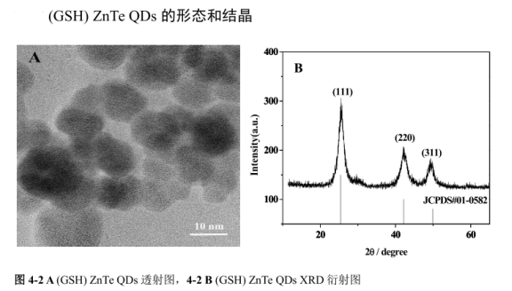 ZnTe碲化锌量子点 PEG包裹近红外二区ZnTe碲化锌量子点(ZnTe QDs-PEG)|定制L半胱氨酸(L-Cys) ,巯基丙酸(MPA)和谷胱甘肽(GSH) 修饰ZnTe量子点