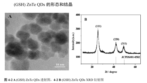 PEG包裹近红外二区ZnTe碲化锌量子点(ZnTe QDs-PEG)|定制L半胱氨酸(L-Cys) ，巯基丙酸(MPA)和谷胱甘肽(GSH) 修饰ZnTe量子点