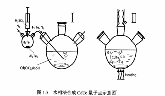 蛋白质核糖核酸酶修饰近红外二区碲化锌ZnTe量子点