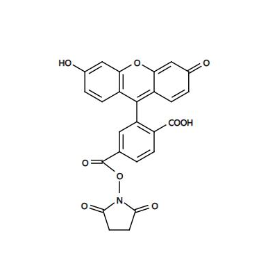 1652175952580145.png PLGA纳米粒(150nm)聚乳酸–羟基乙酸共聚物(PLGA)是合成的可生物降解的高分子材料