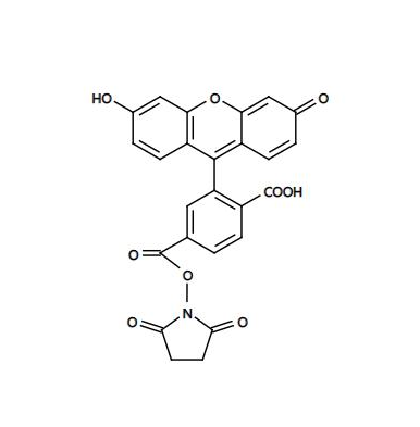 PLGA纳米粒（150nm）聚乳酸–羟基乙酸共聚物(PLGA)是合成的可生物降解的高分子材料