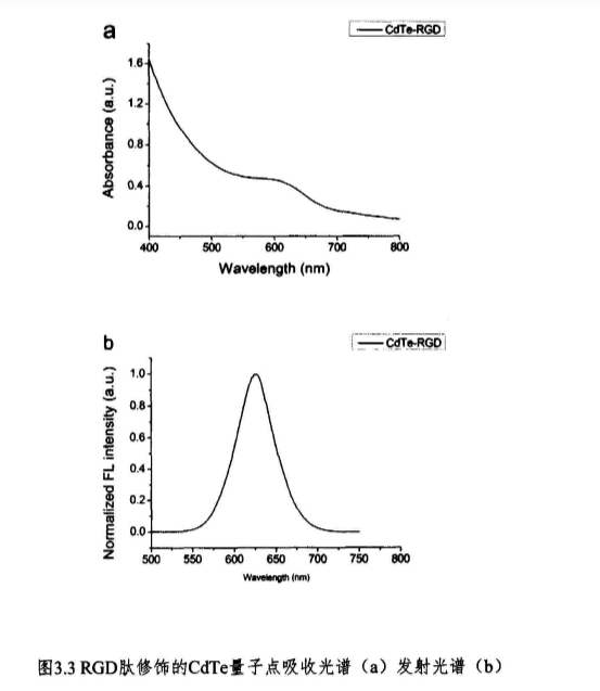 RGD肽修饰的CdTe量子点 (Cys-RGD)和3-巯基丙酸(MPA)包被近红外发光CdTe量子点|荧光发射波长635nm