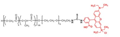 PLGA-PEG-RB/PLGA-b-PEG-RhB/ 聚乳酸-羟基乙酸共聚物（MW:10000,5000）