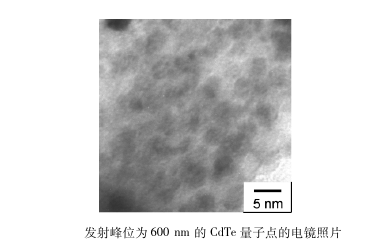CdTe量子点标记雌二醇衍生物 近红外发光碲化镉CdTe量子点标记雌二醇衍生物|供应