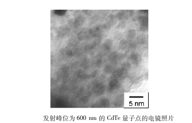 近红外发光碲化镉CdTe量子点标记雌二醇衍生物|供应