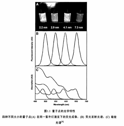 RGD肽修饰近红外水溶性CdTe量子点、CdTe/CdSe/ZnS 量子点、CdSeTe/ZnS量子点