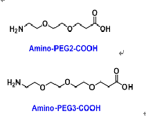 同双官能团特殊分叉型小分子PEG “PK”异双官能团特殊分叉型小分子PEG