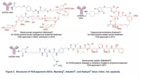 ADC抗体偶联药物定制服务（ADC-Linker）