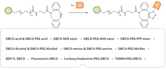 小分子(PEG)/抗体偶联药物（ADC)/荧光染料标记偶联（DBCO）点击反应