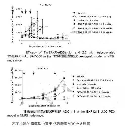 一种灵活、稳定、抗肿瘤能力强的抗体偶联药物(ADC)新鲜出炉