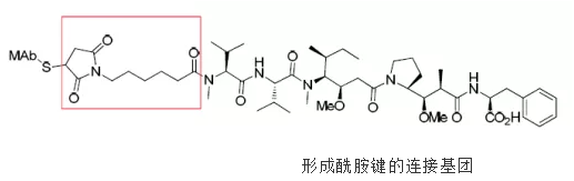 抗体药物偶联物(ADC)连接基团的四种选择