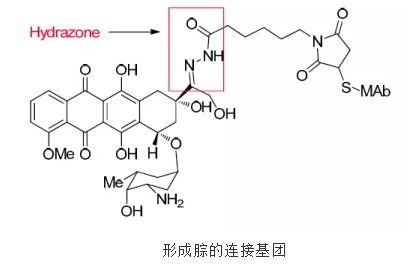 抗体药物偶联物(ADC)连接基团的四种选择