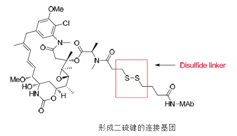 抗体药物偶联物(ADC)连接基团的四种选择