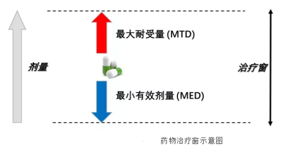 抗体药物偶联物ADC-抗体与药物连接位点的选择