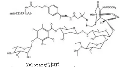 抗体药物偶联物ADC-抗体与药物连接位点的选择