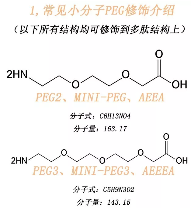 常见小分子PEG和大分子PEG的多肽修饰