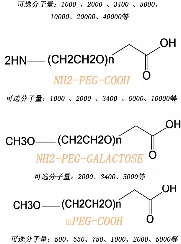 常见小分子PEG和大分子PEG的多肽修饰