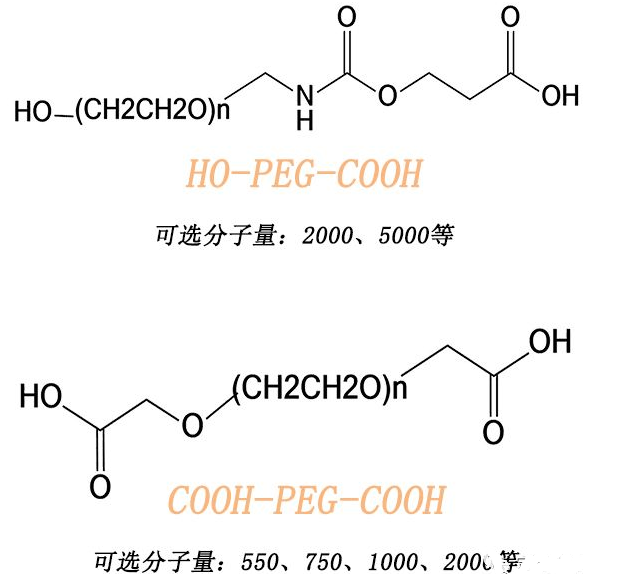 常见小分子PEG和大分子PEG的多肽修饰