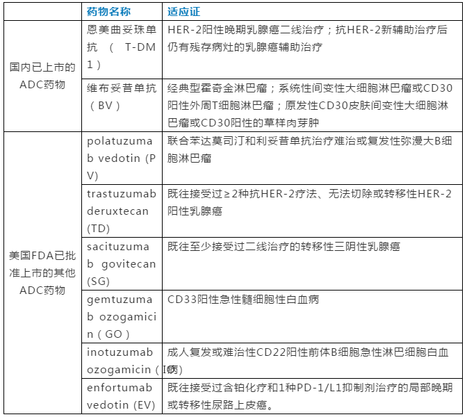 8种常见抗体药物偶联物(ADC)的不良反应及注意事项