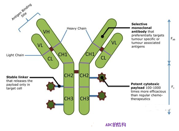 抗体-药物偶联物(ADC)接头连接器和偶联策略介绍(图文并茂)