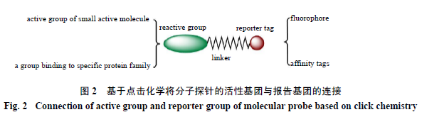 1617957025531215.png “点击化学”在中药活性成分靶点鉴定中的优势及方法