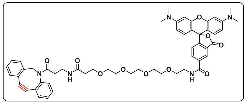 CAS号:1895849-41-8;DBCO-PEG4-TAMRA;四甲基罗丹明-四聚乙二醇-二苯并环辛炔的结构式