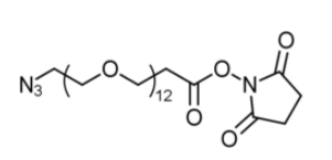 Azido-PEG12-NHS CAS:1108750-59-9是一种含有叠氮基和NHS酯的PEG衍生物