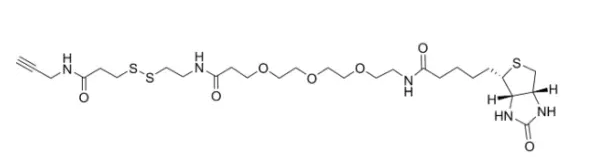 Disulfide Biotin Alkyne是叠氮化物激活的可裂解生物素探针